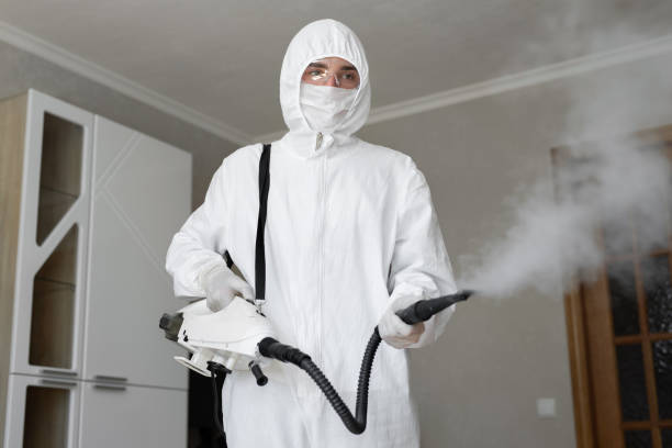 Why You Should Choose Our Mold Remediation Services in Fiskdale, MA